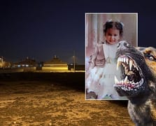 2 yaşındaki çocuk başıboş köpeklerin saldırısında öldü