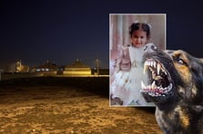 2 yaşındaki çocuk başıboş köpeklerin saldırısında öldü