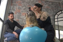 Duman isimli obez köpek spor ve pilates ile zayıflatılıyor