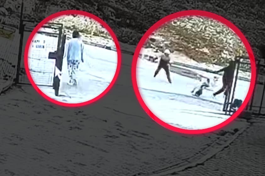 Beslediği köpekler çocuklara saldırırken izledi