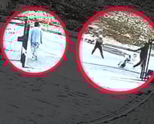 Markete giden çocuklar kaçarken kılını bile kıpırdatmadı