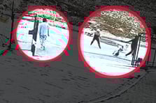 Markete giden çocuklar kaçarken kılını bile kıpırdatmadı