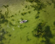 Van Gölü'nde yeni turizm odağı: Dikit