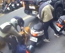 Araçtan atlayan pitbull motosikletlilere saldırdı