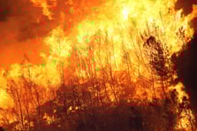  2024'te ihmal, dikkatsizlik, kasıt ve kazadan 1956 orman yangını çıktı