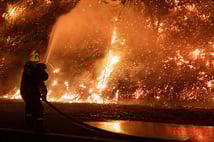 Güney Kore'de orman yangınları 14 bin hektar alanı küle çevirdi