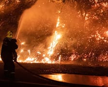 Güney Kore'de orman yangınları 14 bin hektar alanı küle çevirdi