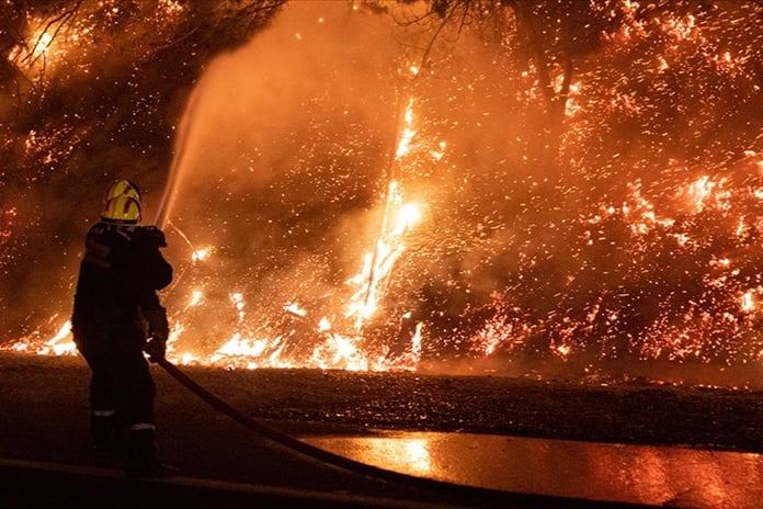 Güney Kore'de orman yangınları 14 bin hektar alanı küle çevirdi