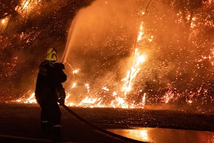Güney Kore'de orman yangınları 14 bin hektar alanı küle çevirdi