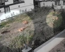 Kendisini savunmak isteyen kadın saldırı sırasında yere düştü