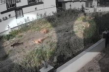 Kendisini savunmak isteyen kadın saldırı sırasında yere düştü