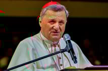 Cinsel istismarı örtbas ettiği öne sürülen isim Papa mı olacak?