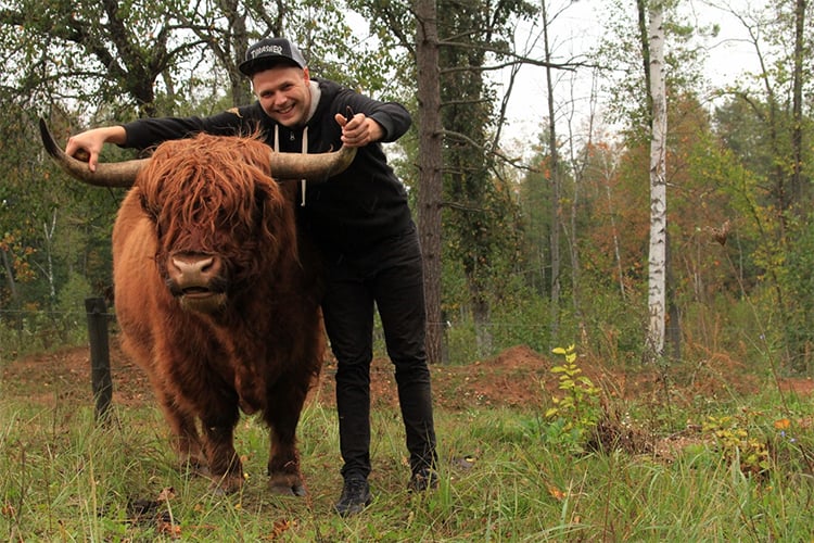 Iwan — Visnap herd sire (Photo: Natalja Visnap / Kurier Wileński)