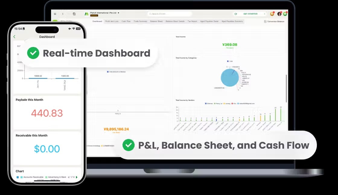 Finance dashboards showing real-time P&L, balance sheet, and cash flow information