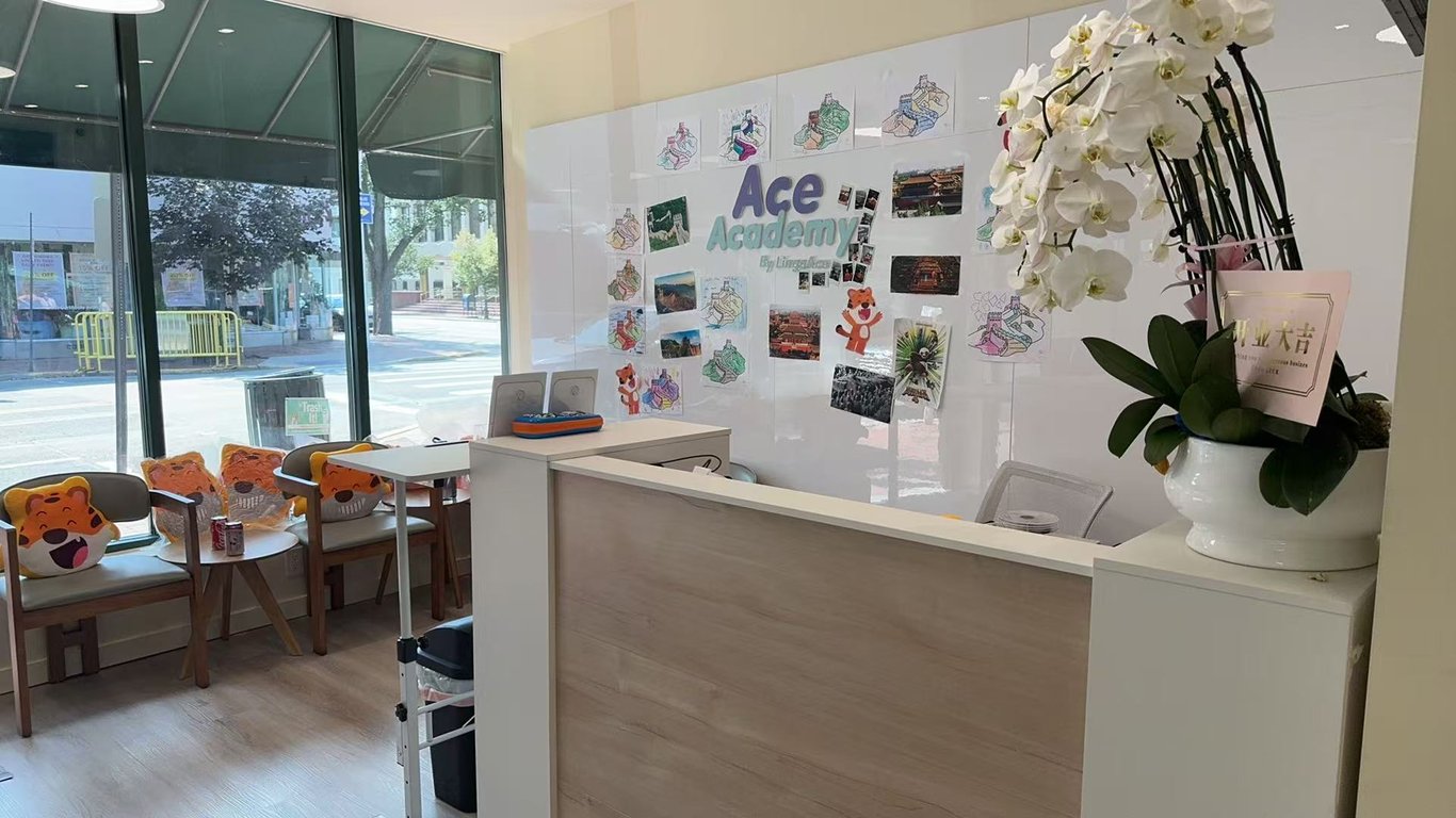 ACE Academy Great Neck, New York Offline Center