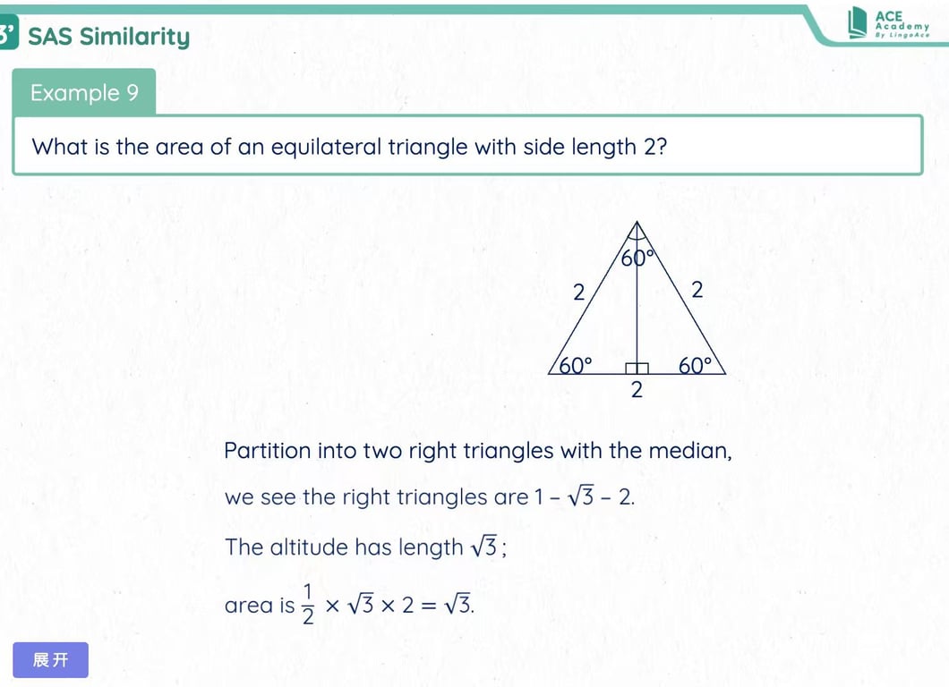 ACE Academy geometry similarity lesson