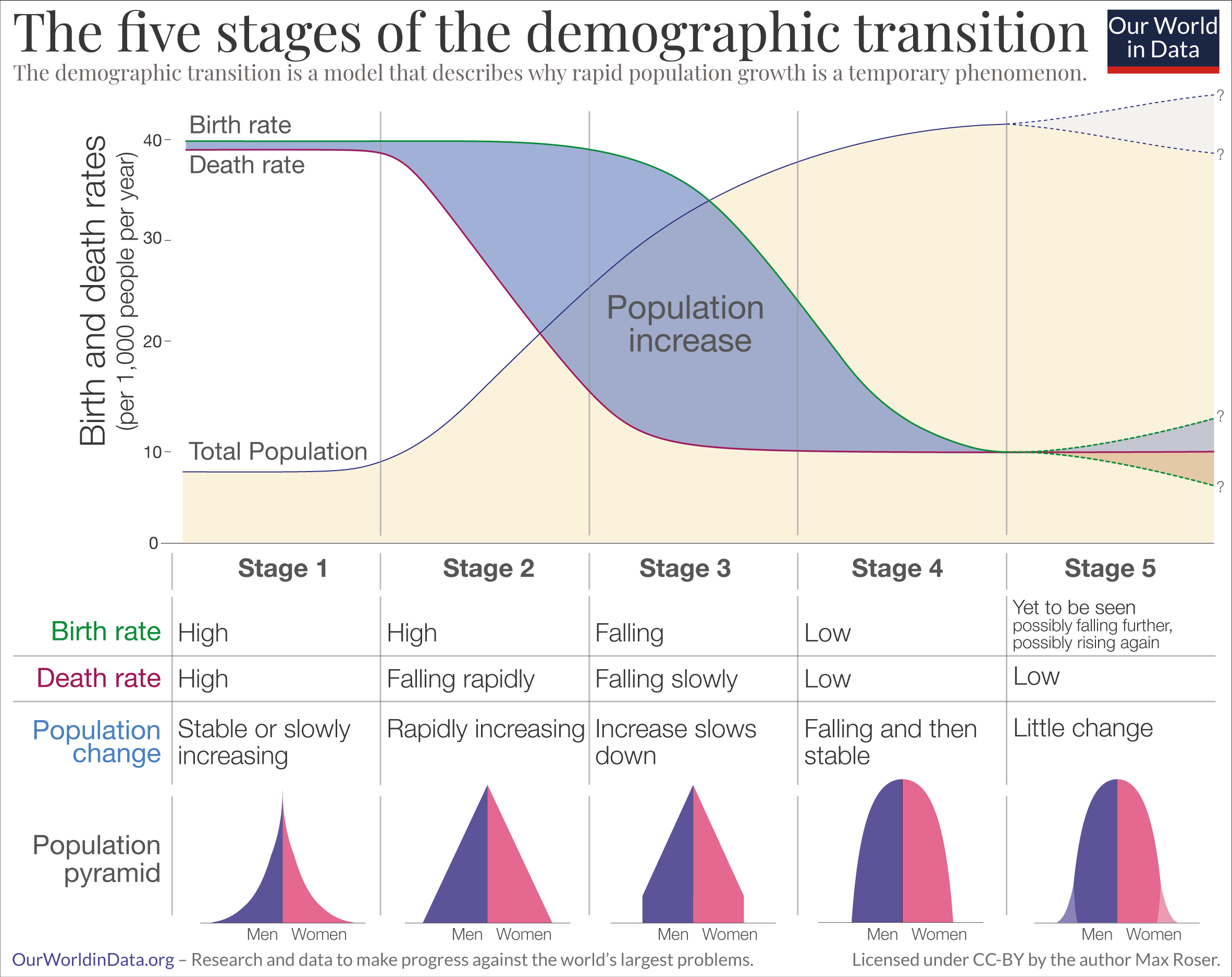 Timeline chart that shows 5 stages of the demographic transition. Birth and death rates are plotted on the y-axis. Death rates first fall, and are later followed by a decline in birth rates.