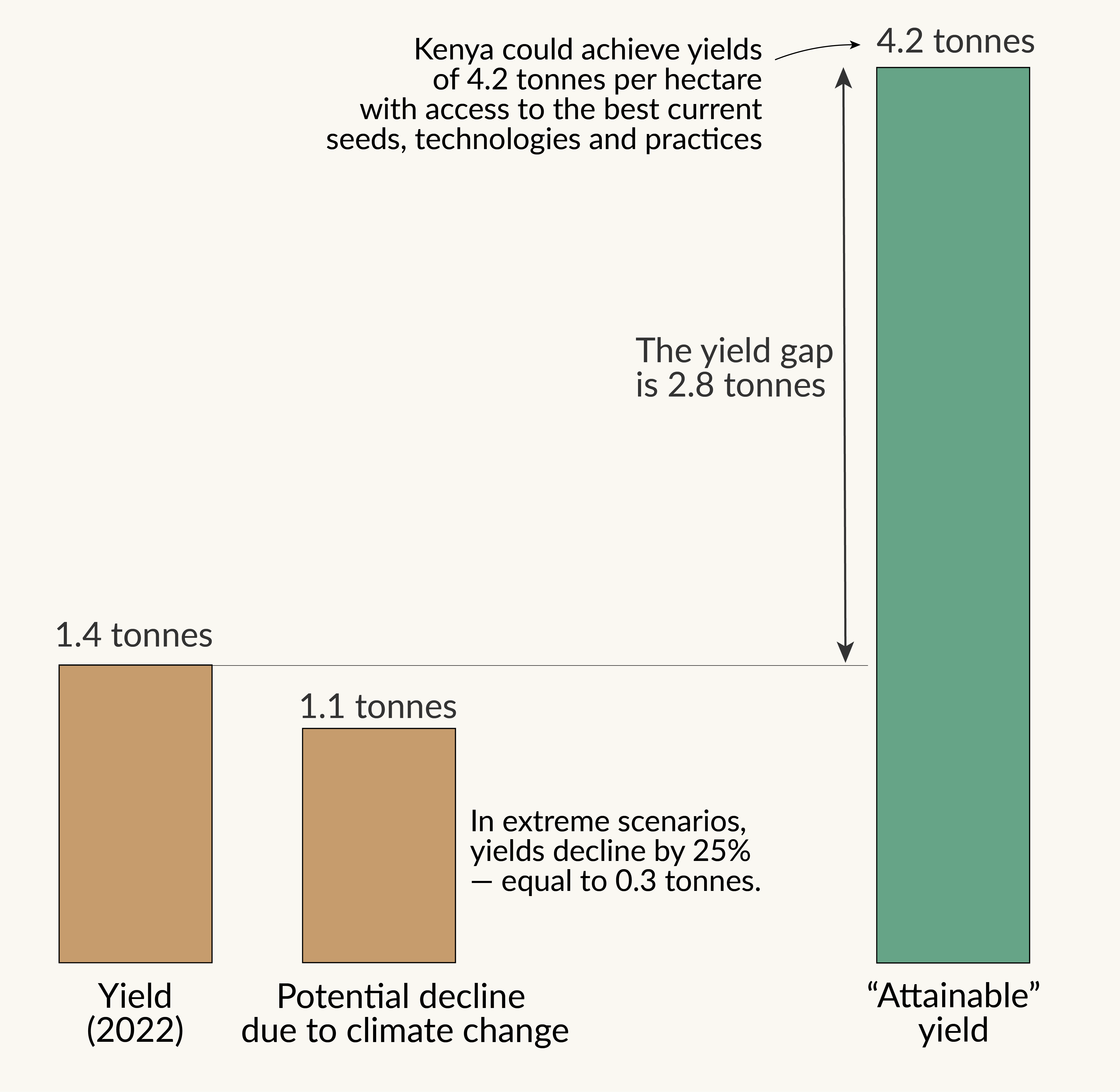 Bar chart showing current maize yield in Kenya; what they could be with best practices and technologies, and what the impact of climate change on yields could be in the future. The current yield gap (2.8 tonnes) is far larger than the potential decline due to climate change (0.3 tonnes).