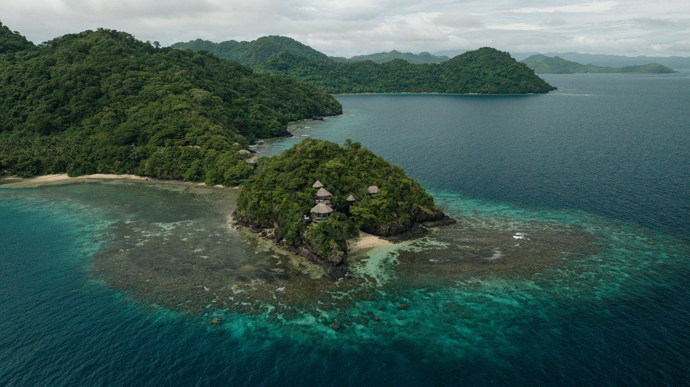 Aerial view of palm trees with turquoise ocean in the background