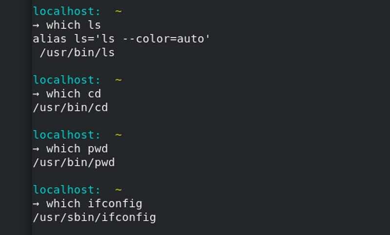 Linux which command example demonstrating executable file search in PATH environment variable
