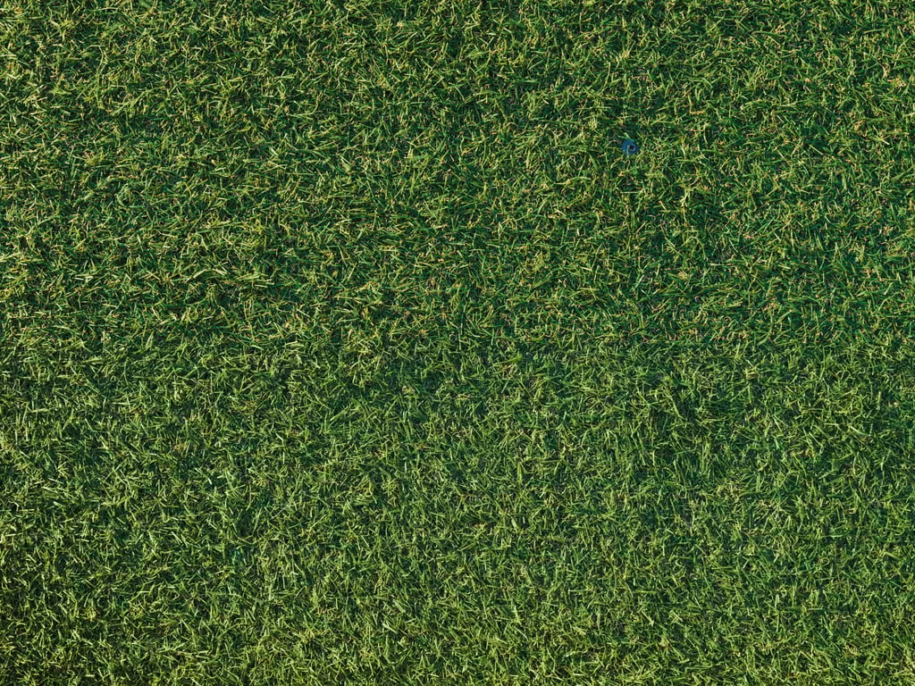 Affordable Solutions for Installing Artificial Grass in Your Outdoor Space
