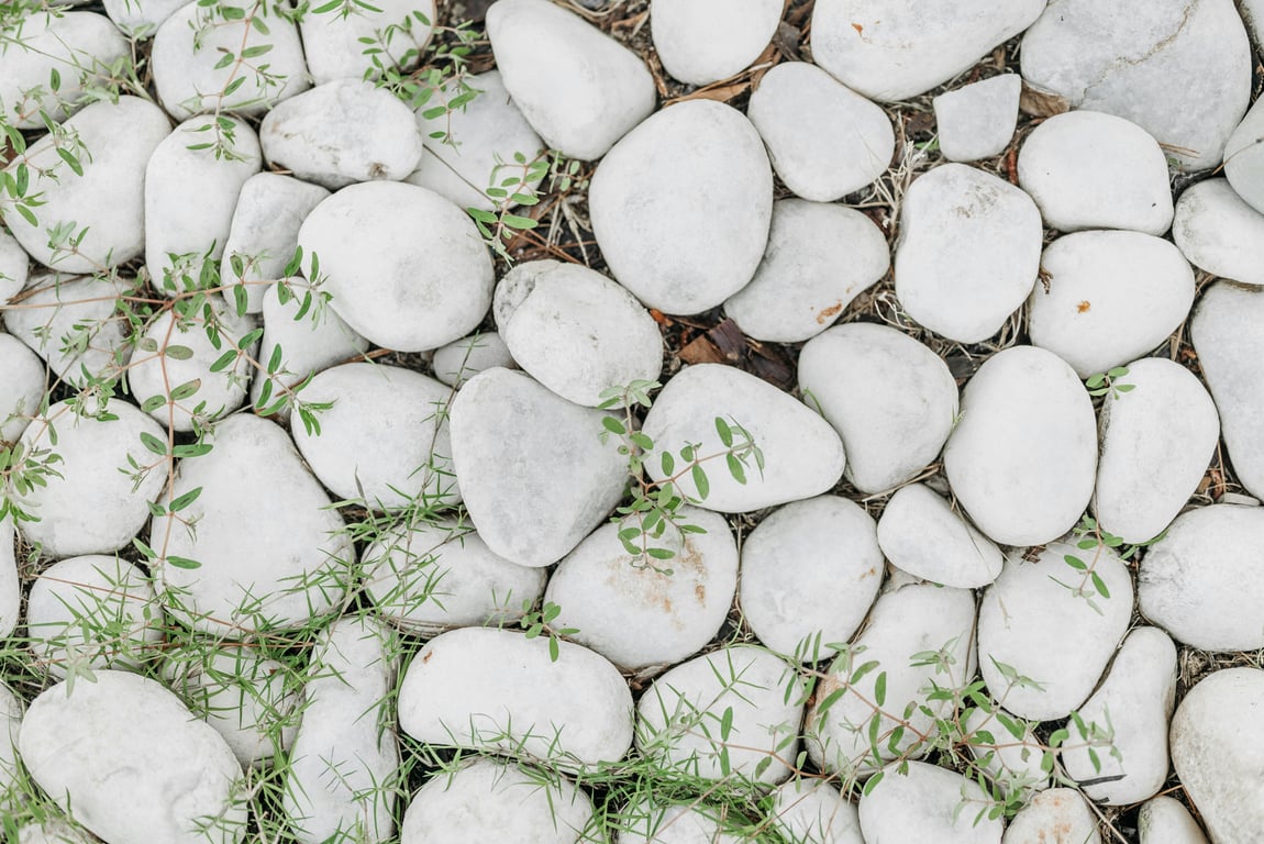 Flat lay of smooth white stones with green plants in a natural setting, top view.