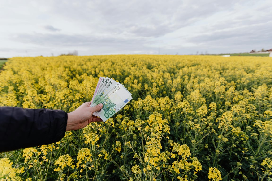 Harnessing Dividend Power for Sustainable Wealth Growth