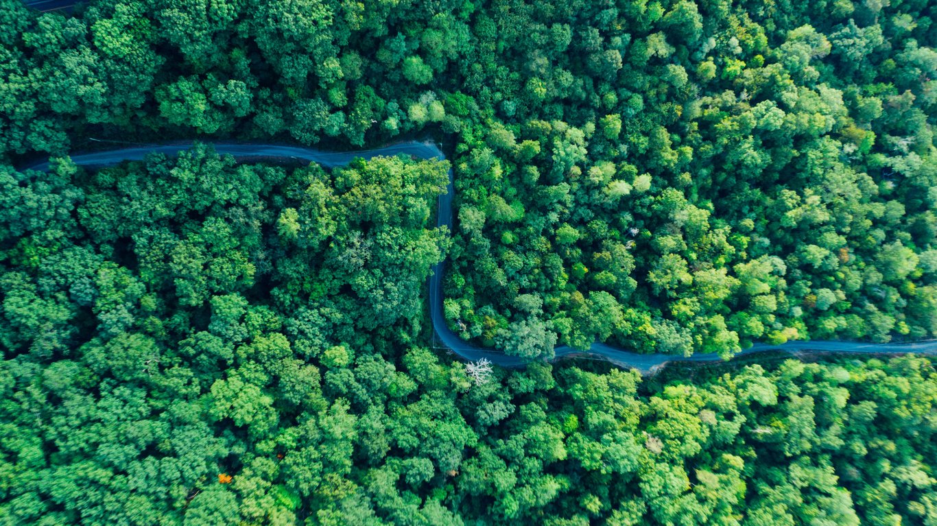 An Unforgettable Guide to Eco-Friendly Travel Adventures