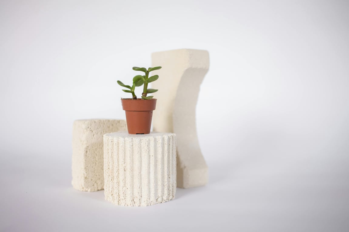 Harmony in Home Design
