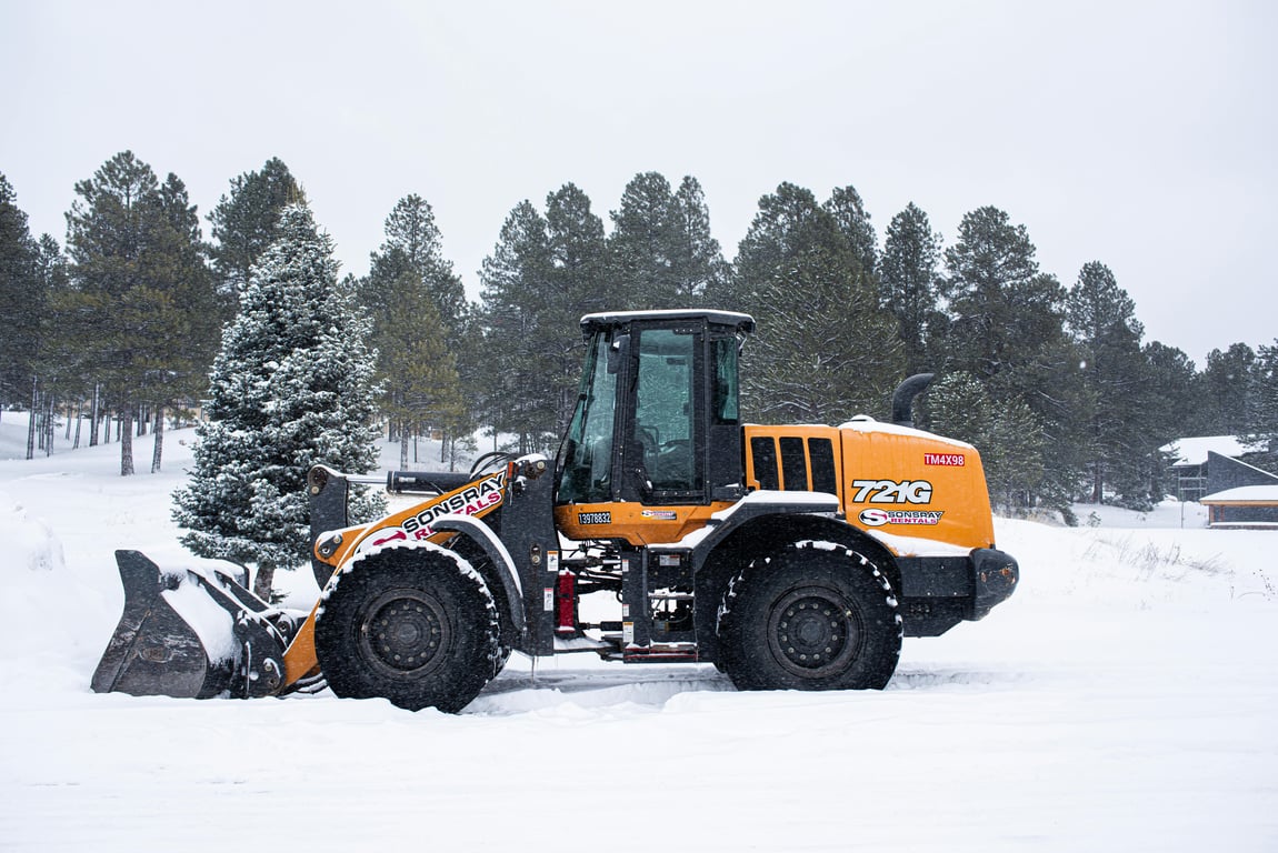 Simplify Tree Maintenance with Budget-Conscious Removal Services Near You