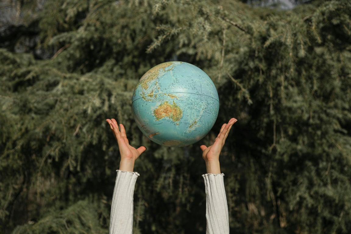 An Essential Guide to Sustainable Investing for a Greener Future