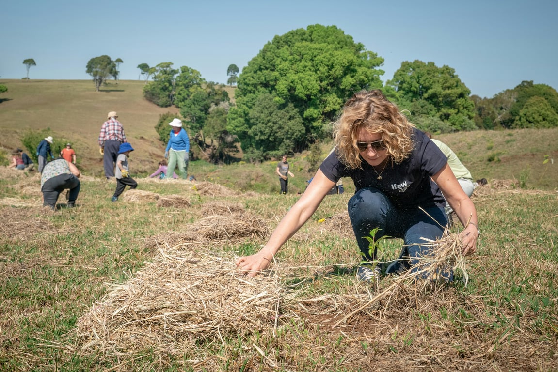 Insightful Strategies for Ethical and Profitable Green Investing