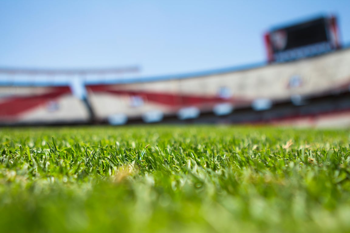 Achieve a Vibrant Lawn Without Breaking the Bank