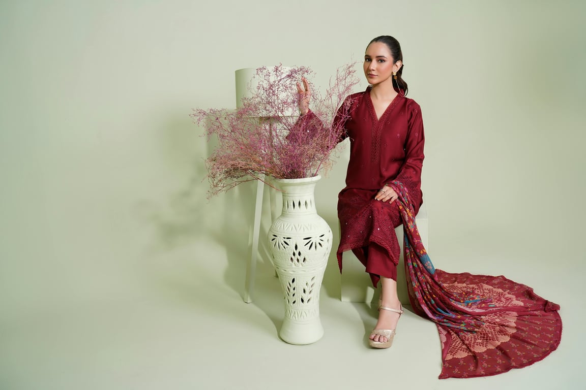 Pakistani woman in an embroidered dress poses gracefully in a studio setting.