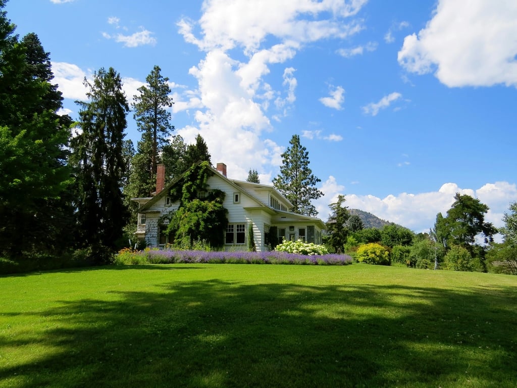 Practical Ways to Transform Your Home into an Eco-Friendly Haven