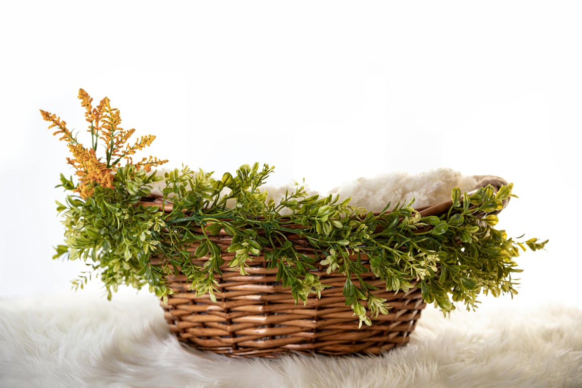 Vibrant Spaces: Transforming Your Home with Nature