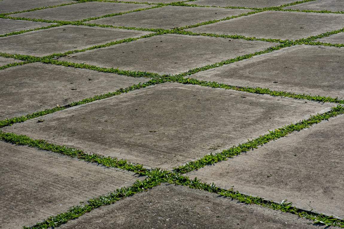 Transform Your Outdoors with Budget-Friendly Lawn and Landscaping Solutions