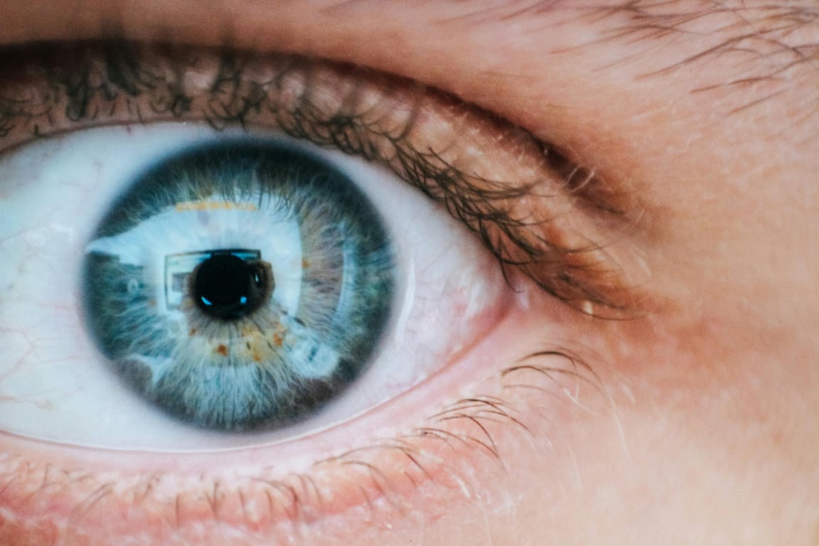 Detailed macro shot of a blue human eye reflecting surroundings.