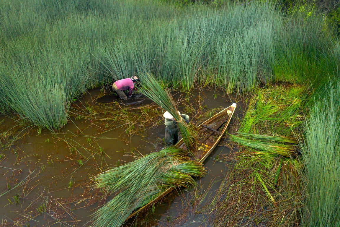 The Rising Influence of Green Policies on American Businesses