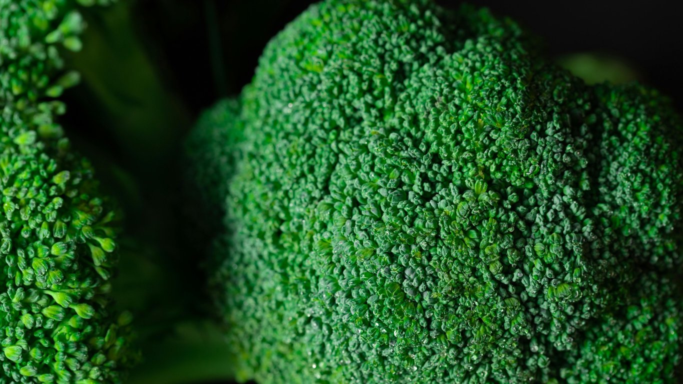 Detailed macro image of broccoli showing vibrant green texture and natural pattern.