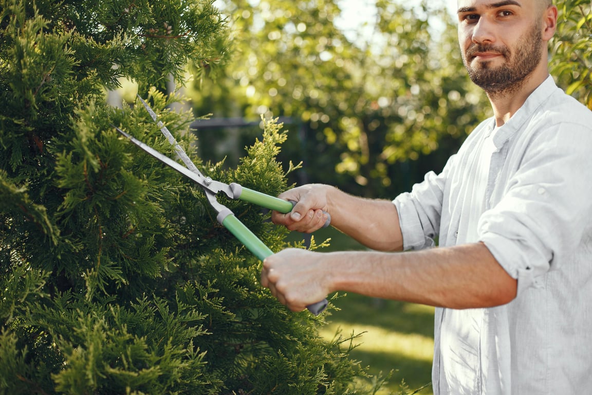 Simplify Yard Maintenance with Low-Cost Tree Removal Solutions