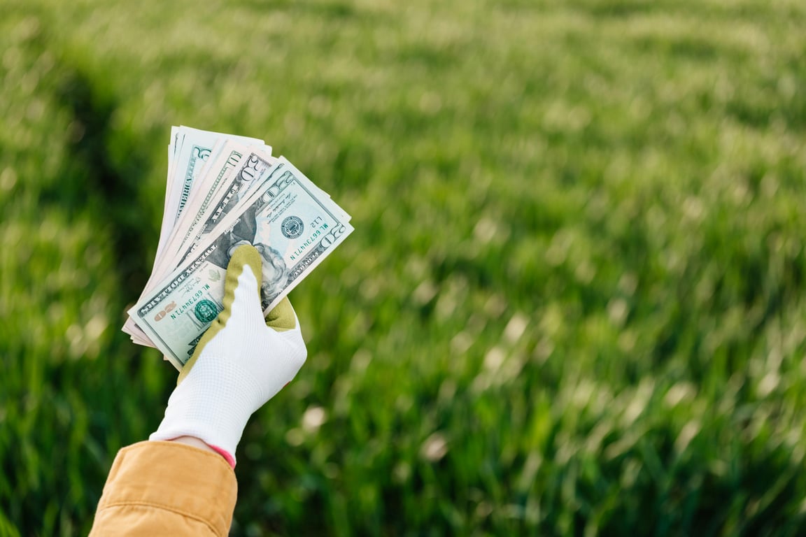 Gloved hand holding US dollar bills with blurred green field background.