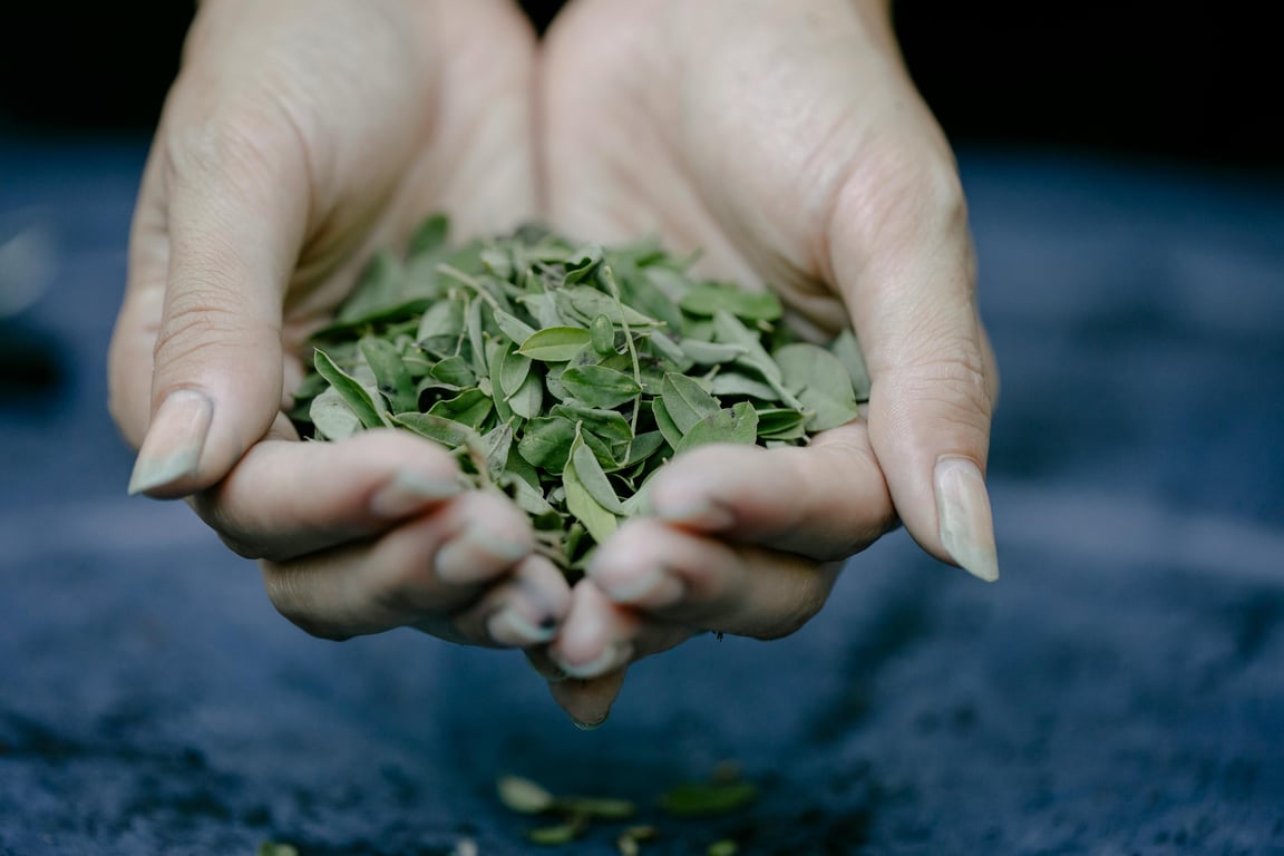 Practical Home Remedies for a Healthier Living Space