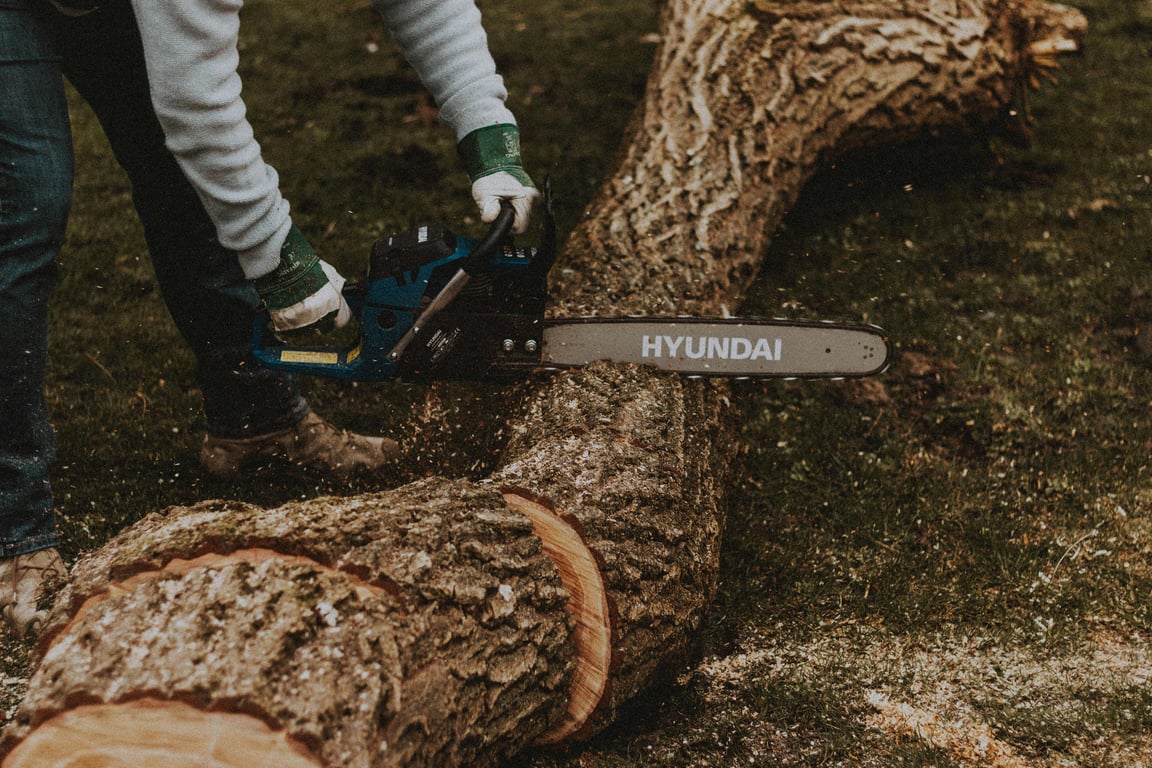 Transform Your Outdoor Space with Cost-Effective Lawn Care Services
