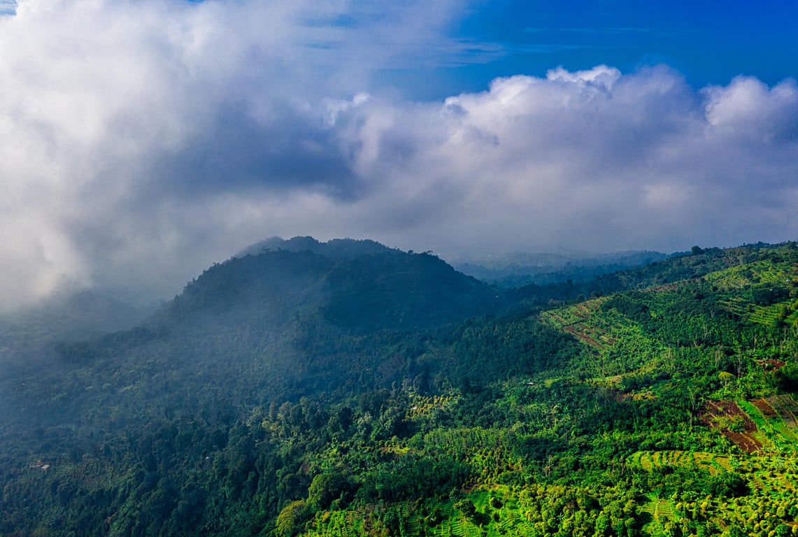 An Exciting Look at High-Demand Outdoor Careers