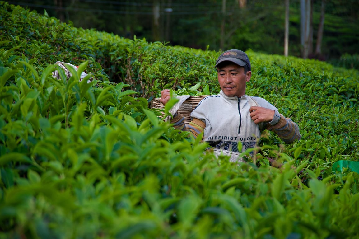 A New Perspective on Sustainable Living Trends