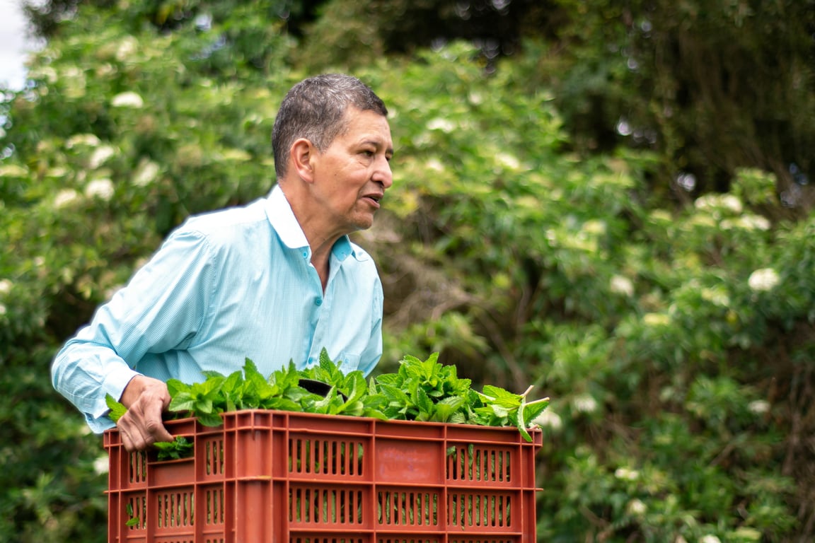 The Smart Approach to Eco-Friendly Investing for Long-Term Gains
