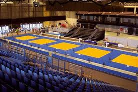 Tatami Arts martiaux, Judo - Vinyle (M4) - DragonSports.eu