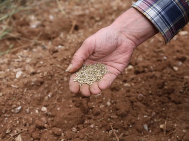 L’histoire de notre potager… et l’avenir que nous voulons préserver
