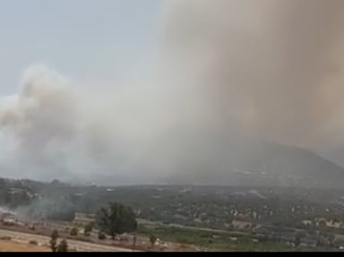 Solidarité contre les flammes qui ravagent la Kabylie